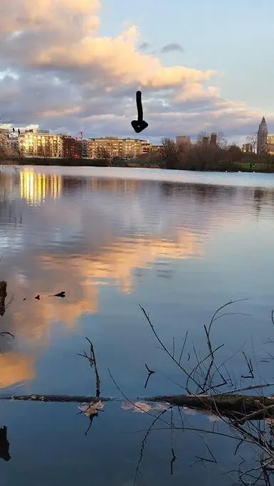 Family Castle In Frankfurt Near Messe Apartment Frankfurt am Main Germany
